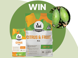 Win a feijoa tree planting pack