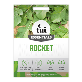 Tui Rocket Seed