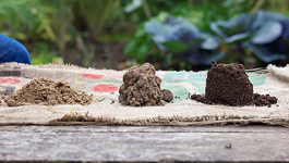 Know your soil type 