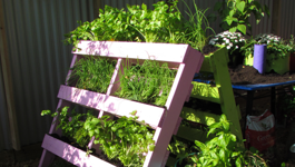 Space Saver Gardening Guide