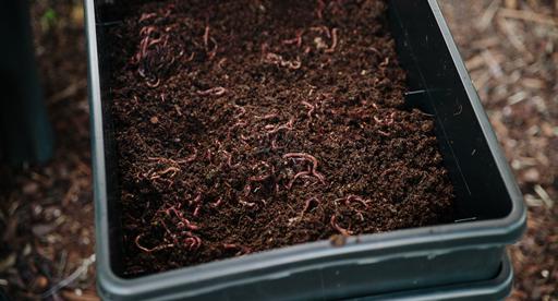 Heating a Small Worm Bin in the Winter - Red Worm Composting