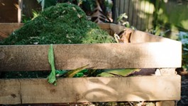 A Beginner's Guide to Composting