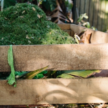 A Beginner's Guide to Composting