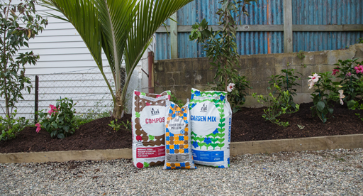 Create a Green Oasis
