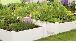 Tui Tips for a Healthy Garden
