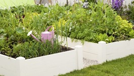Tui Tips for a Healthy Garden