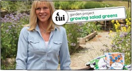 Tui Garden Project - Growing Salad Greens