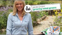 Tui Garden Project - Growing Salad Greens