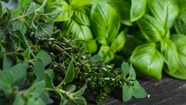 Top Tips for Homegrown Herbs