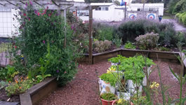 Summer Prep in the School Garden