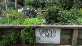 Autumn gardening with Te Huruhi Primary School