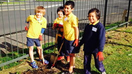 Dominion Road Primary School