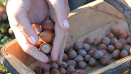 Annabel Langbein's April Garden
