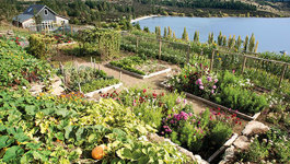 Annabel Langbein's Christmas Garden