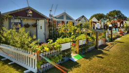 Showcase of Ellerslie Flower Show