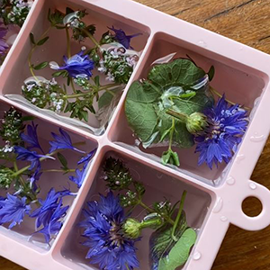 Edible flowers