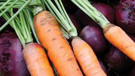 Roast Beetroot and Carrot Salad