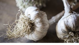 Top 10 Garlic Tips