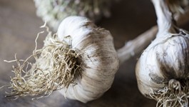 Top 10 Garlic Tips