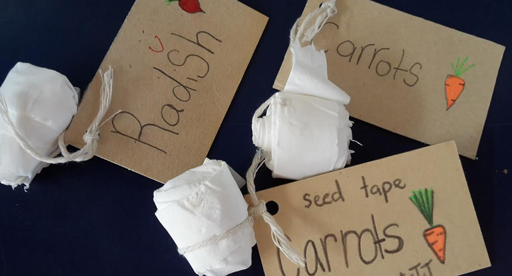 How to make seed tape Diamond Harbour School