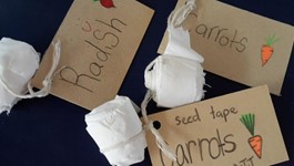 How to make seed tape - Diamond Harbour School