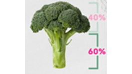 Be a Broccoli Stalker