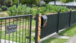 Community Spirit - Community Gardens