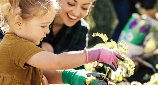 Pride of Place - Create a garden you love