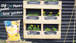 Pallet Garden Gardening Hack