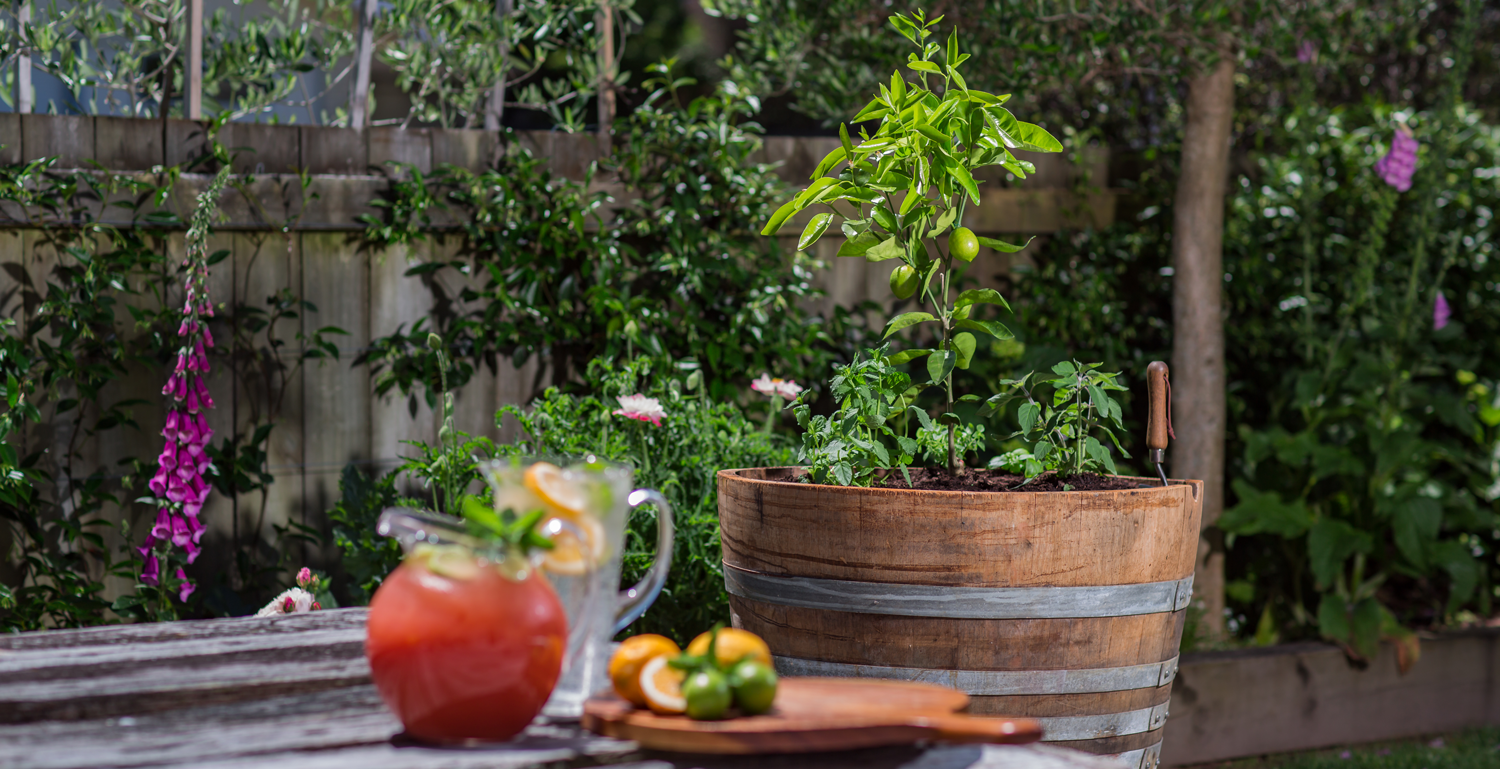 Summer Drinks Gardening Hack