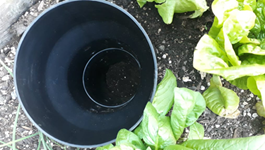 Setting up your Tui In-Ground Composter