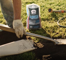 Choosing the Right Lawn Seed