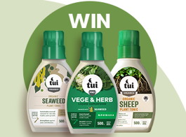 Win a summer feeding pack