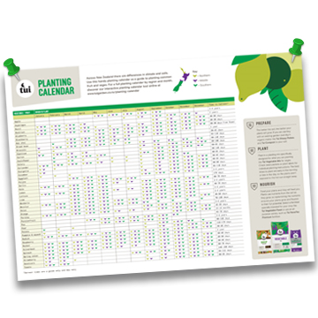 Seasonal Vegetable Planting Chart