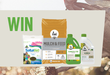 Win a Summer Essentials Pack