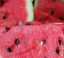 Watermelon Growing Guide