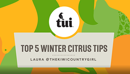 Laura's top 5 winter citrus tips 
