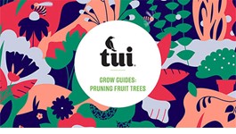 Tui Grow Guides - Pruning Fruit Trees