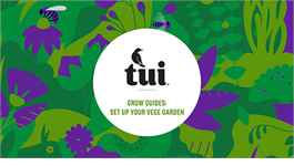 Tui Grow Guides - Setting up your vege garden 