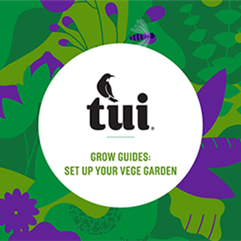 Tui Grow Guides - Setting up your vege garden