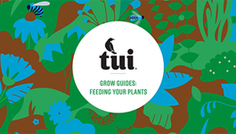 Tui Grow Guides - Feeding your plants 