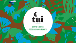 Tui Grow Guides - Feeding your plants