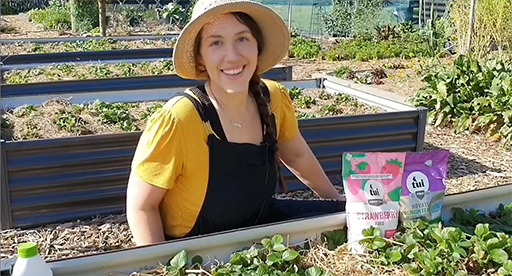 Tui Strawberry Mix