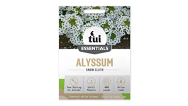 Tui Alyssum Seed - Snow Cloth