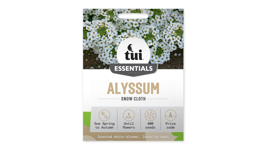 Alyssum - Snow Cloth