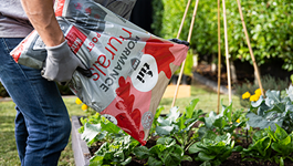 Recycle your Tui Growing Media Bags 