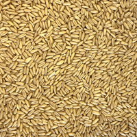 Tui Hulled Oats