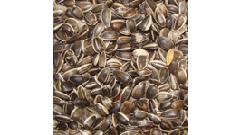 Tui Sunflower Seed