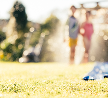 Get your lawn summer ready