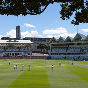 Bring the basin reserve to your backyard & win